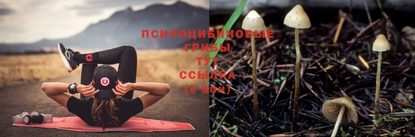 прущие крисы Лиски