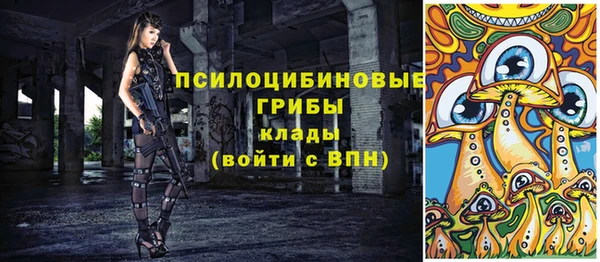 крисы Липки
