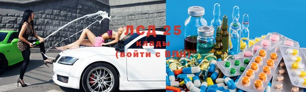 крисы Липки