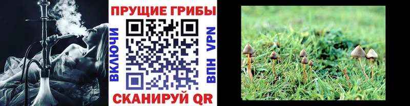 Галлюциногенные грибы мицелий  МЕГА рабочий сайт  Батайск 