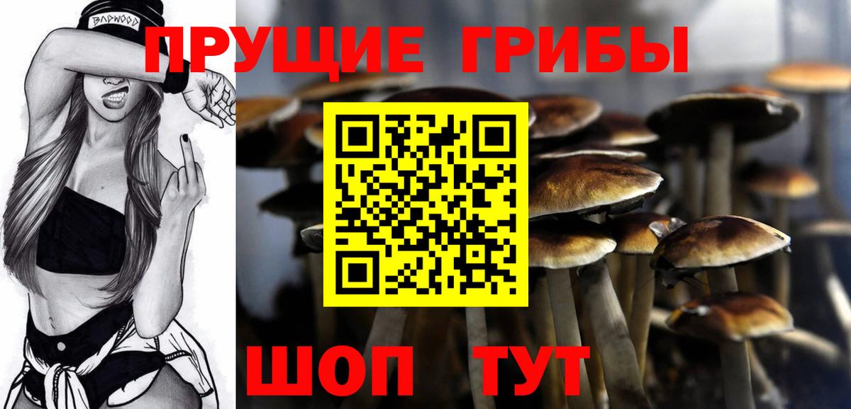 Псилоцибиновые грибы Psilocybe  Вход с VPN  Псилоцибиновые грибы прущие грибы  Батайск 